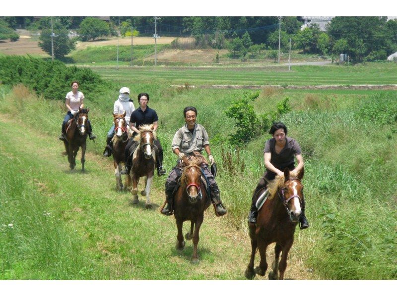 [Ibaraki, Ishioka] Enjoy the forest while riding! Forest road outside power walk of 1 hour and 10 minutes [beginner OK]の紹介画像