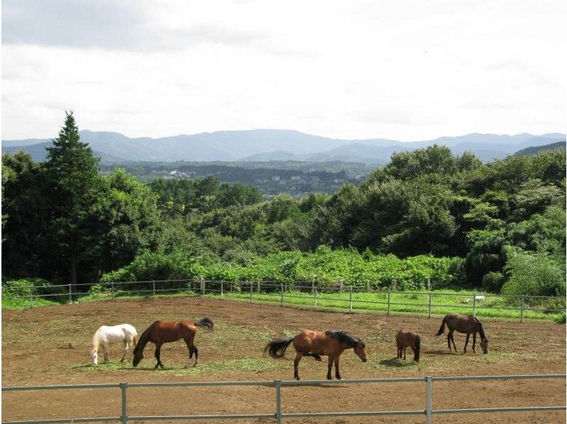 [Ibaraki / Ishioka] Enjoy a sense of dynamism at the Koisegawa riverbed! 90 minutes outside ride courseの紹介画像