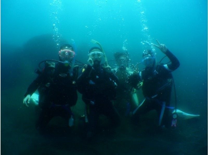 【湯河原・真鶴・小田原】はじめて大歓迎！体験ダイビング【１ダイブ】の紹介画像