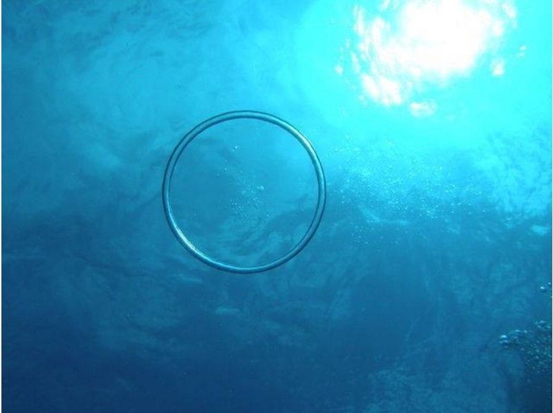 【大阪発】初心者歓迎！体験ダイビング（2ダイブ）の紹介画像