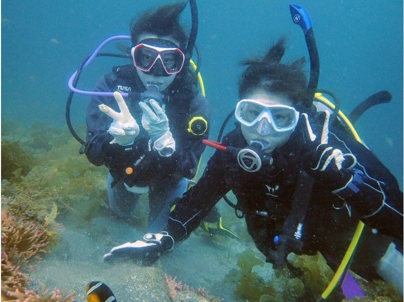 【大阪発】初心者歓迎！体験ダイビング（2ダイブ）の紹介画像