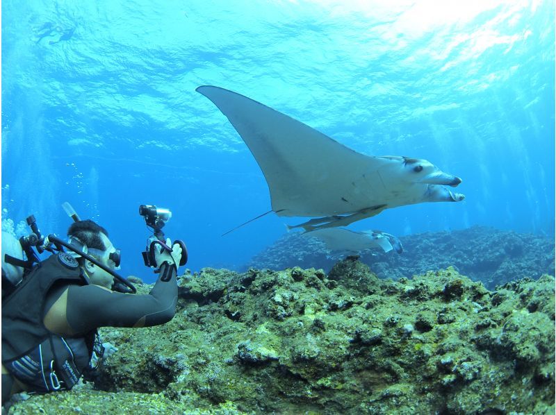 [Okinawa, Ishigaki Island] ★Free equipment rental★ Fun diving Let's go meet the popular people in the beautiful sea ♪ FUN Diving (Boat)の紹介画像