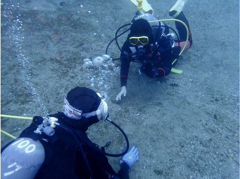 【湯河原・真鶴・小田原】浅場で練習した後に、海を満喫できる体験ダイビング！【2ダイブ】の紹介画像