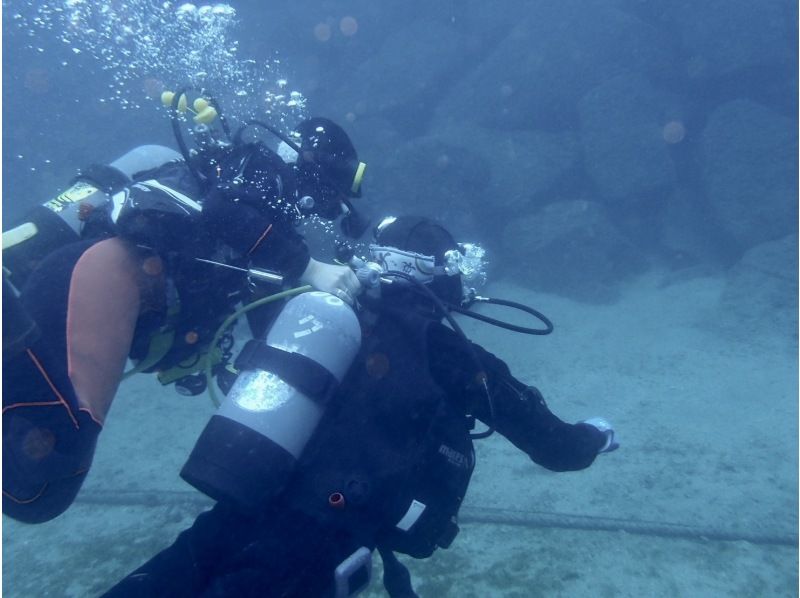 【湯河原・真鶴・小田原】浅場で練習した後に、海を満喫できる体験ダイビング！【2ダイブ】の紹介画像