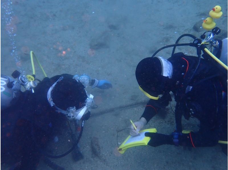 【湯河原・真鶴・小田原】浅場で練習した後に、海を満喫できる体験ダイビング！【2ダイブ】の紹介画像