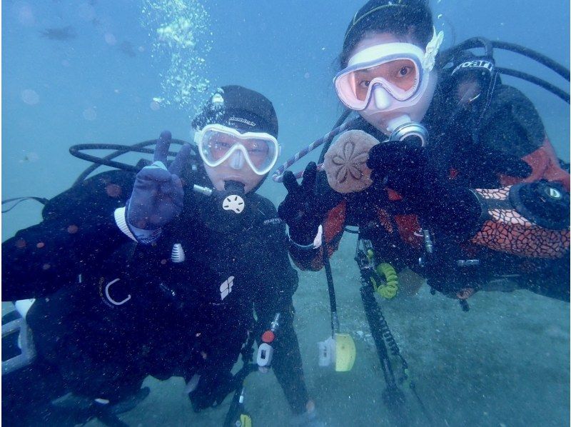 【湯河原・真鶴・小田原】浅場で練習した後に、海を満喫できる体験ダイビング！【2ダイブ】の紹介画像