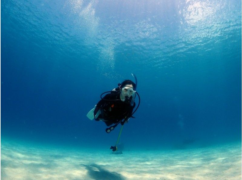 [沖繩慶良間群島]世界墜入愛河箕良好的海上風機潛水！の紹介画像