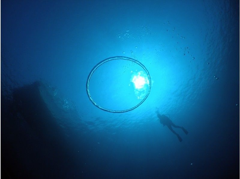 【 冲绳 · 庆良间群岛 】在世界爱上的Kekki之间深潜海中的风扇！の紹介画像