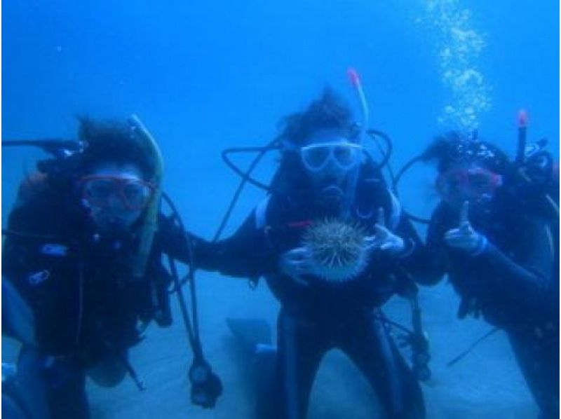 【神奈川・真鶴】久々な方、不安な方用リフレッシュダイビングコース〈1人からOK！〉の紹介画像