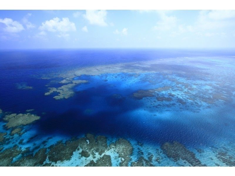 【沖縄・石垣島】初心者歓迎！石垣の海を楽しもう！体験ダイビングの紹介画像