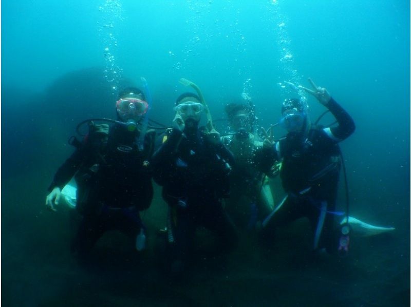 【湯河原・真鶴・小田原】オープンウォーターダイバー取得コース（フリープラン)の紹介画像