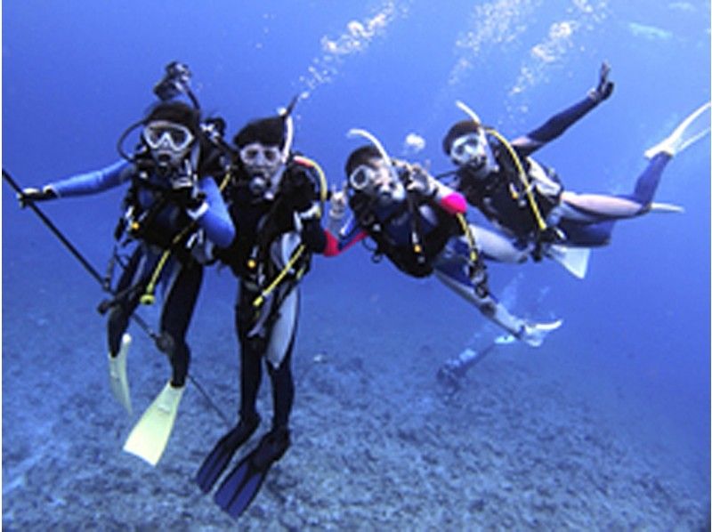 [Okinawa, Ishigaki Island] One of the world's leading diving resorts! Enjoy manta rays, beautiful corals, and tropical fish schools ☆ Choose from 3 courses ★ Fun diving ★の紹介画像