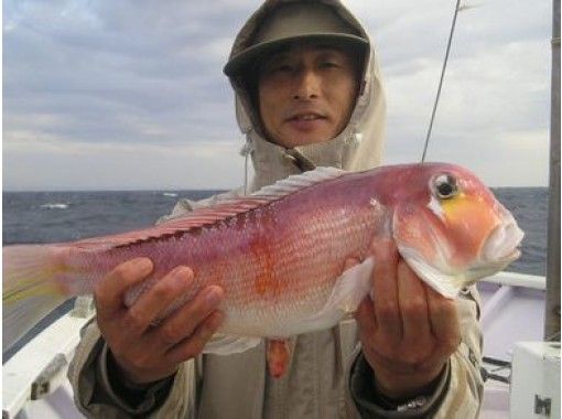 千葉 南房総 釣り人の憧れ アマダイ を釣ろう 初心者もできる五目釣りプラン アクティビティジャパン