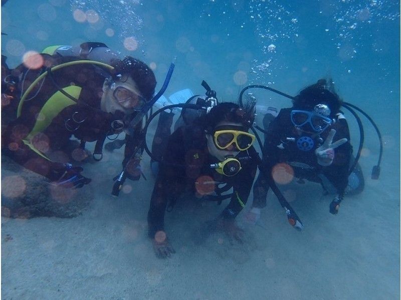 [Kashiwajima, Kochi Prefecture] No license required! Explore the beautiful sea with a trial diveの紹介画像