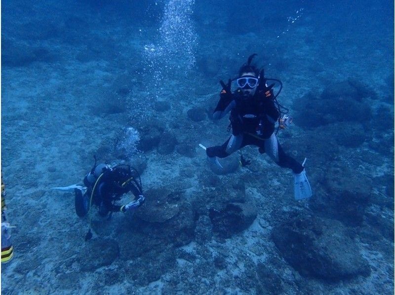 【柏島　高知県】ライセンス無くてもOK！体験ダイビングで美しい海を散策の紹介画像