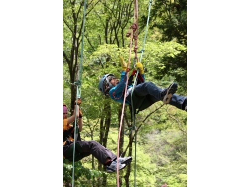 A clear autumn wind and a tree over the trees spreading there ☆ Lets tree climbing!の紹介画像
