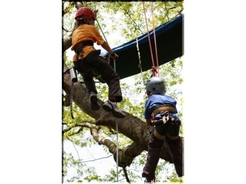 A clear autumn wind and a tree over the trees spreading there ☆ Lets tree climbing!の紹介画像