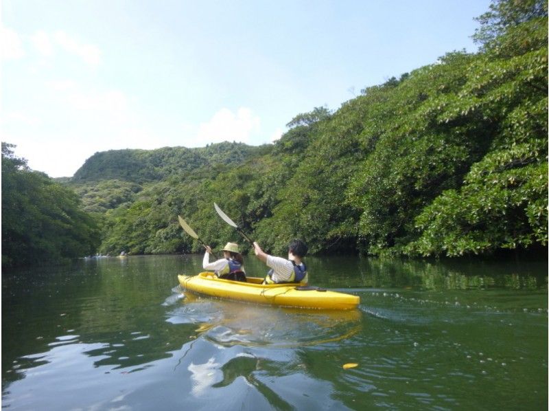 [沖縄·西表島（Iriomote Island）]獨木舟和徒步旅行！沖縄縣內第一滴Pinaisara的瀧崎課程（半天課程）の紹介画像