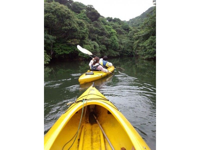 [冲绳·西表岛（Iriomote Island）]独木舟和徒步旅行！冲绳县内第一滴Pinaisara的泷崎课程（半天课程）の紹介画像