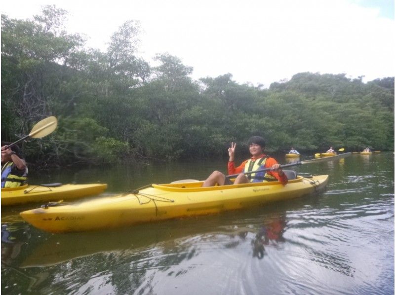 [冲绳·西表岛（Iriomote Island）]独木舟和徒步旅行！ Sangala瀑布课程隐藏的景点（半天课程）の紹介画像