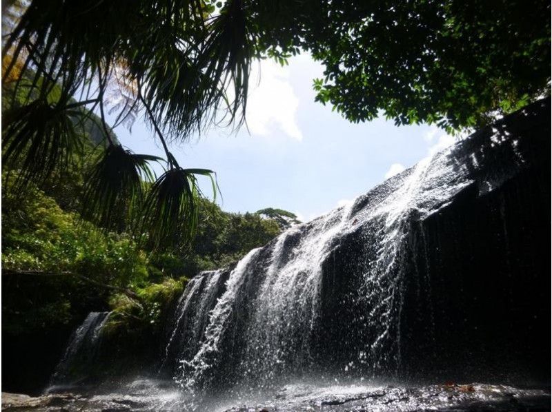 [Okinawa Iriomote Island] Canoe & trekking! Waterfall course of hidden scenic spots Sangara (half day course)の紹介画像