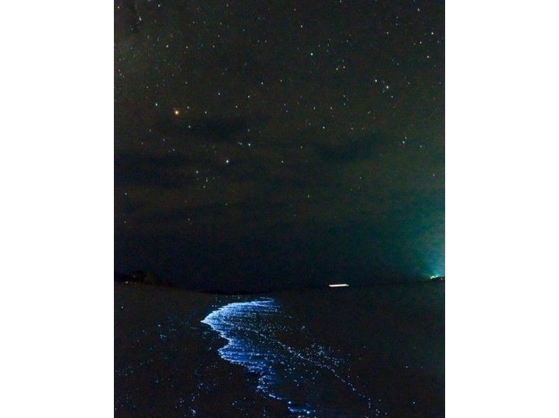 【沖縄・西表島】満天の星空・流れ星や海の夜光虫を眺めるナイトカヌー（カヤック）