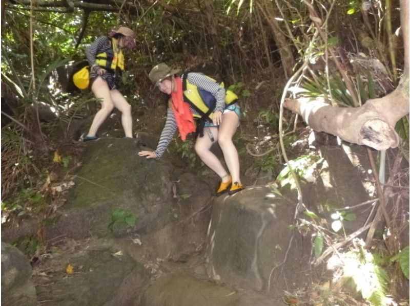 [沖縄·西表島]最美好的一天！ Pinaisara瀑布劃獨木舟和徒步旅行和體驗深潛！の紹介画像