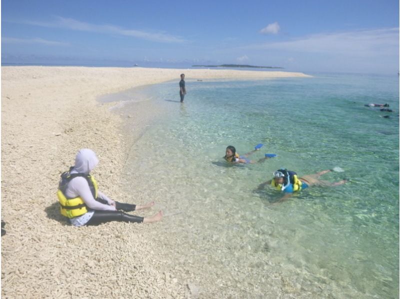[沖縄·西表島（Iriomote Island）在珊瑚礁蔓延的翡翠海中的經驗深潛（一天課程）の紹介画像
