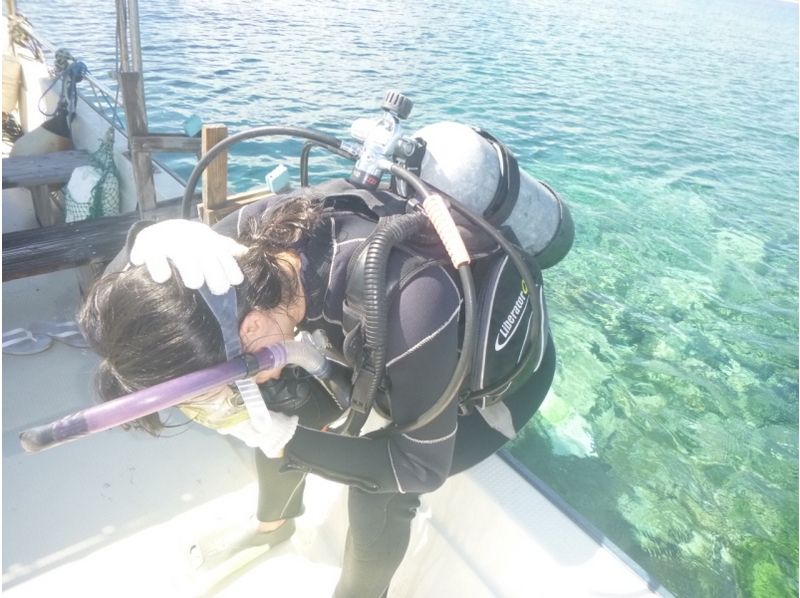 [沖縄·西表島（Iriomote Island）風扇位於西表島（Iriomote Island）上，世界上最主要的珊瑚居住在這裡深潛（一天課程）の紹介画像