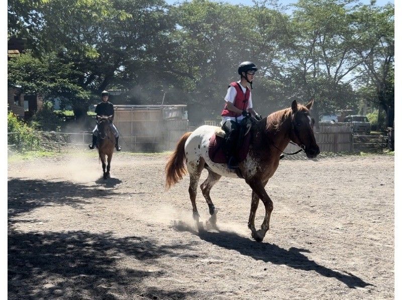 【山梨・八ヶ岳】本格的！乗馬技術のレッスン！の紹介画像