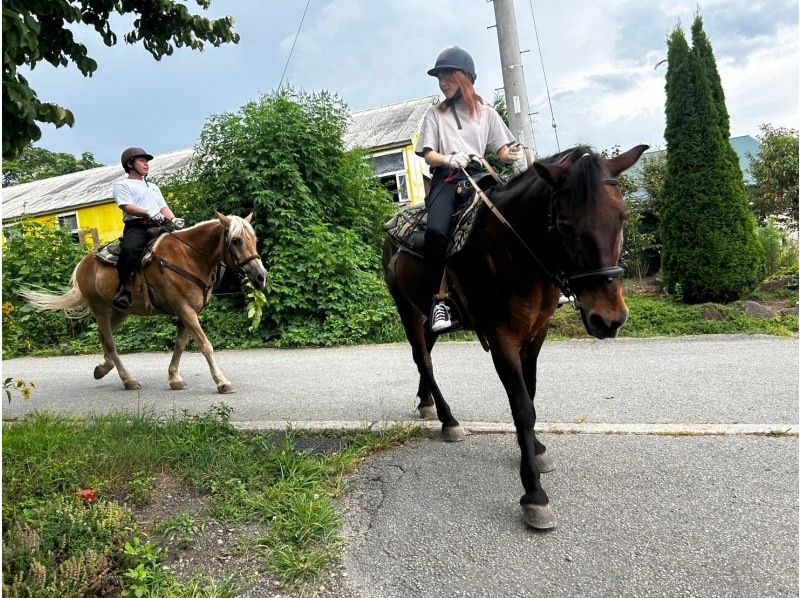 [Yamanashi / Kobuchisawa] Outdoor riding! First horse riding plan lesson 30 minutes + outside ride 30 minutesの紹介画像