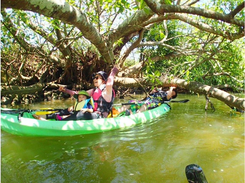 [Okinawa ・ Kunigami-gun] tropical jungle mangrove Kayak Adventure (1 year old-OK) 