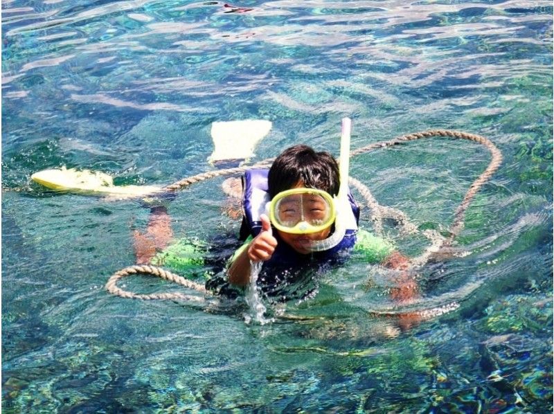 [沖縄·西表島（Iriomote Island）在巴拉斯島（Barras Island）的珊瑚礁奇蹟島上浮潛（半天課程或1天課程）の紹介画像