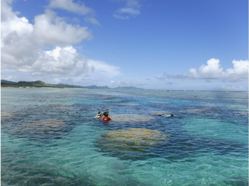 [โอกินาว่าเกาะอิชิงากิ] เดินทางโดยเรือมาดูชุมชนปะการังสีน้ำเงินที่ใหญ่ที่สุดในซีกโลกเหนือ! ＜ ทัวร์ดำน้ำชมปะการังชิราโฮ ＞の紹介画像