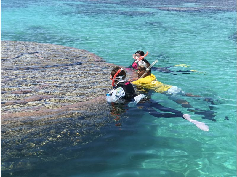 [โอกินาว่าเกาะอิชิงากิ] เดินทางโดยเรือมาดูชุมชนปะการังสีน้ำเงินที่ใหญ่ที่สุดในซีกโลกเหนือ! ＜ ทัวร์ดำน้ำชมปะการังชิราโฮ ＞の紹介画像