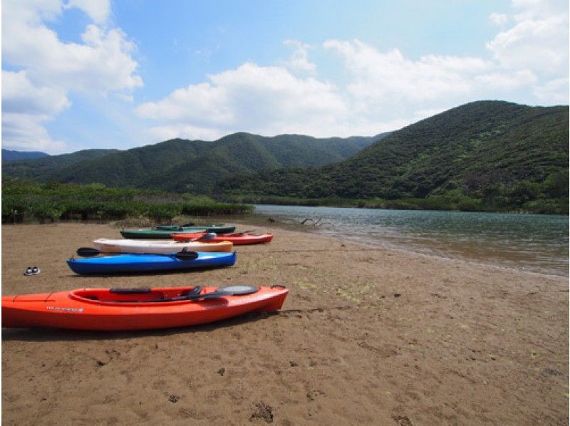 [鹿兒島奄美大島]體驗潛水和紅樹林獨木舟之旅1DAYの紹介画像