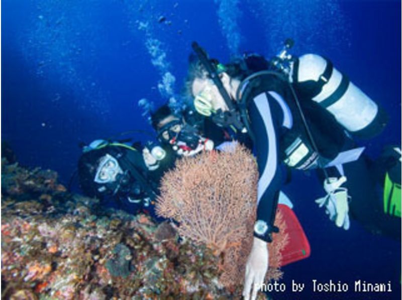 【 小笠原 /知岛】Keta群岛，Yejima，到Hokushima Kita！远征球迷深潜之旅の紹介画像