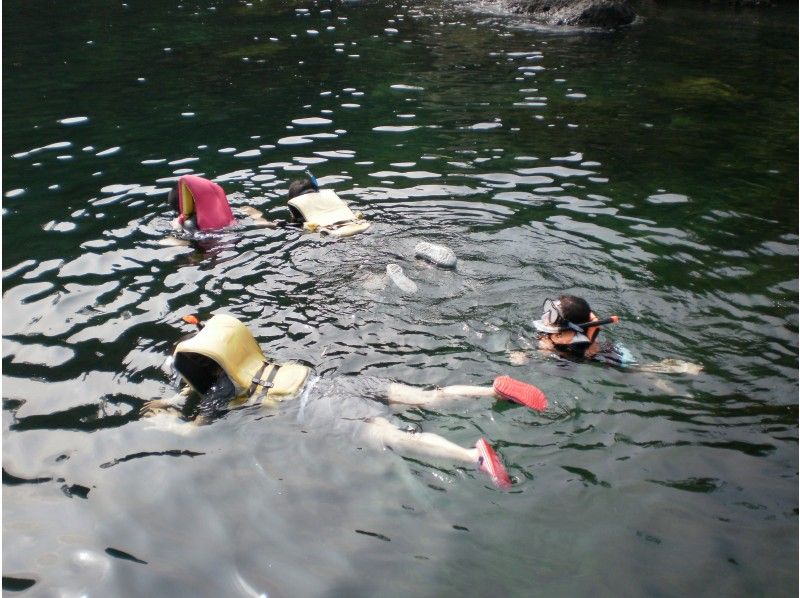 [ชิซูโอกะ Atami] แนะนำให้ผู้ที่ต้องการเพลิดเพลินไปกับทะเล! เรือคายัคพัง (1 หลักสูตรวัน)の紹介画像