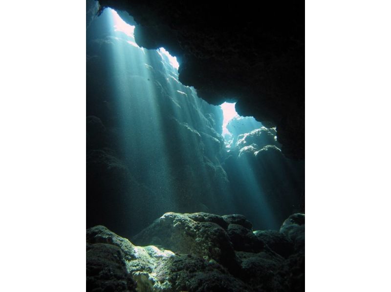 [Okinawa Zamami] Kerama Islands - beautiful Zamami sea fan diving (1 dive 2 dive)の紹介画像