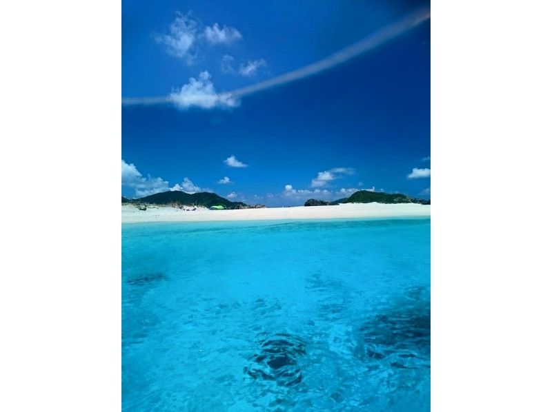 【冲绳·座间味】有学校优惠！ 庆良间群岛·在美丽的无缝海域体验深潜の紹介画像