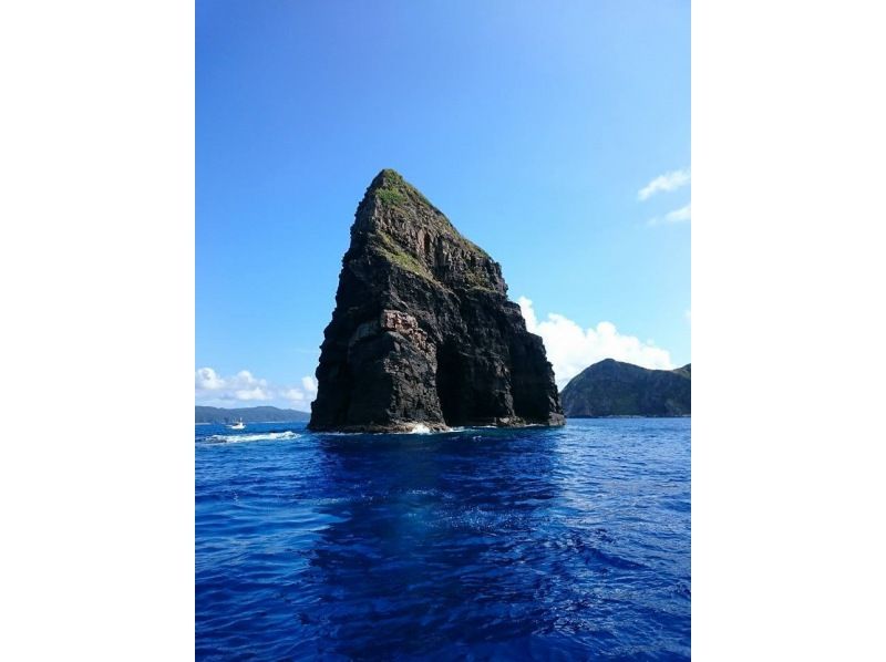 【冲绳·座间味】有学校优惠！ 庆良间群岛·在美丽的无缝海域体验深潜の紹介画像