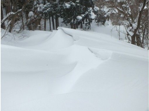【岡山・蒜山】何度もテレビで紹介された!?山乗渓谷氷柱巡りスノーシュートレッキング(TSLスノーシュー使用) 【岡山・蒜山】何度もテレビで紹介された!?山乗渓谷氷柱巡りスノーシュートレッキング(TSLスノーシュー使用)