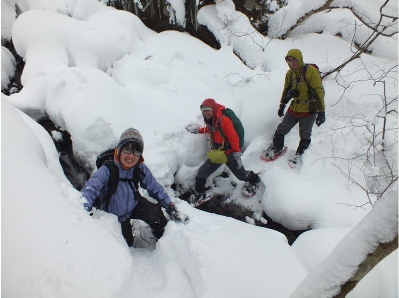 【岡山・蒜山】何度もテレビで紹介された！？山乗渓谷氷柱巡りスノーシュートレッキング（ＴＳＬスノーシュー使用）の紹介画像