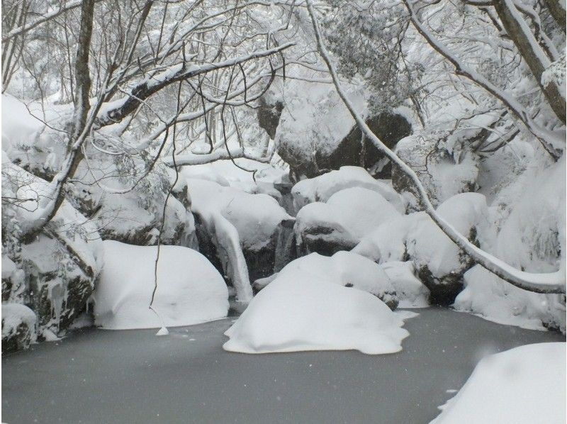 【岡山・蒜山】何度もテレビで紹介された！？山乗渓谷氷柱巡りスノーシュートレッキング（ＴＳＬスノーシュー使用）の紹介画像