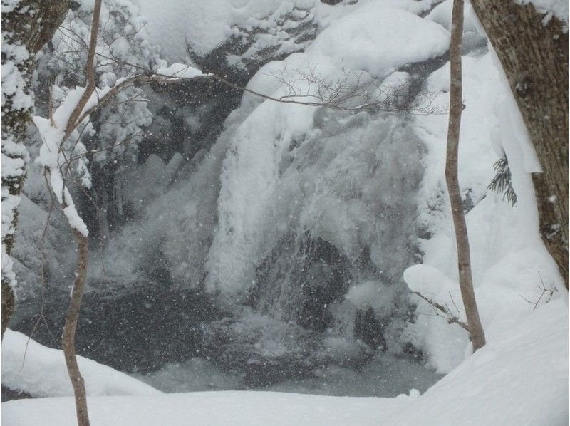 【岡山・蒜山】何度もテレビで紹介された！？山乗渓谷氷柱巡りスノーシュートレッキング（ＴＳＬスノーシュー使用）の紹介画像