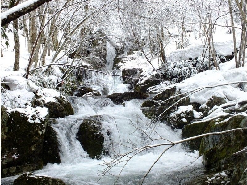 【岡山・蒜山】何度もテレビで紹介された！？山乗渓谷氷柱巡りスノーシュートレッキング（ＴＳＬスノーシュー使用）の紹介画像