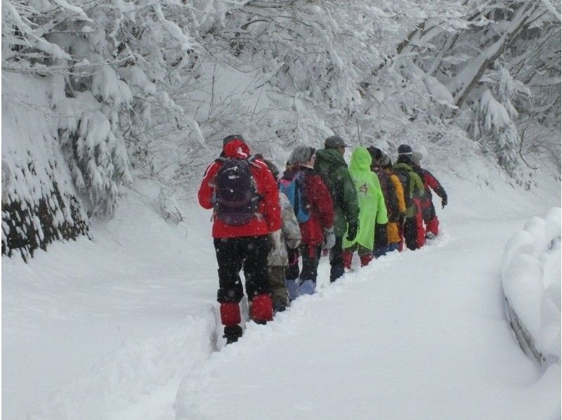 【岡山・蒜山】何度もテレビで紹介された！？山乗渓谷氷柱巡りスノーシュートレッキング（ＴＳＬスノーシュー使用）の紹介画像