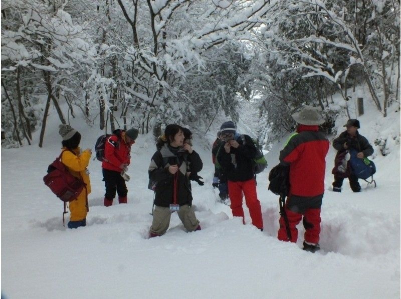 【岡山・蒜山】何度もテレビで紹介された！？山乗渓谷氷柱巡りスノーシュートレッキング（ＴＳＬスノーシュー使用）の紹介画像