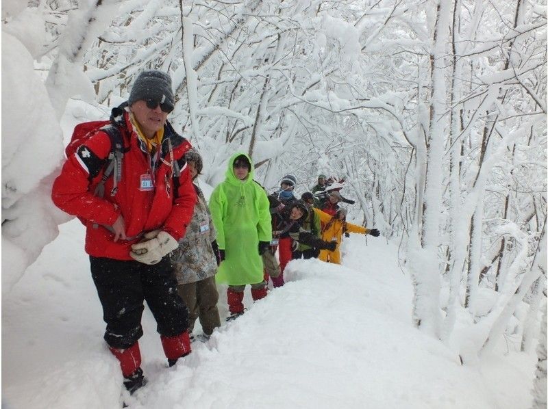 【岡山・蒜山】何度もテレビで紹介された！？山乗渓谷氷柱巡りスノーシュートレッキング（ＴＳＬスノーシュー使用）の紹介画像