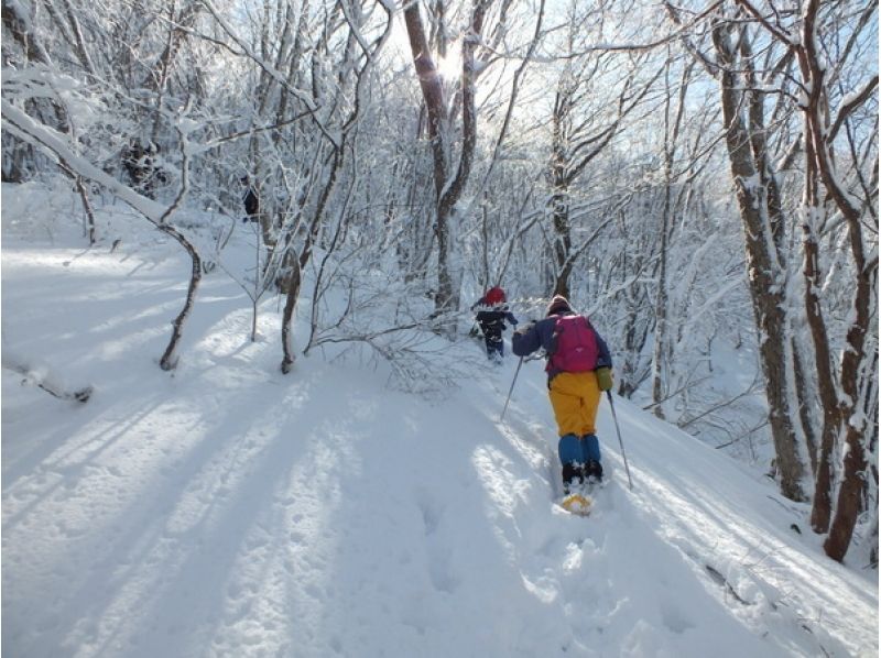 [岡山縣蒜山]看大山南牆和蒜高原！ Mihirayama雪鞋攀登の紹介画像